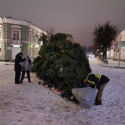 Ледяной дождь и ветер повалили новогоднюю живую ель в центре Гатчины