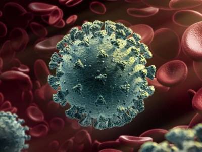 В США впервые обнаружили «британский» штамм коронавируса