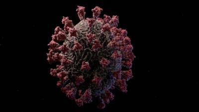Эксперт ВОЗ рассказал о сценарии развития вируса SARS-CoV-2