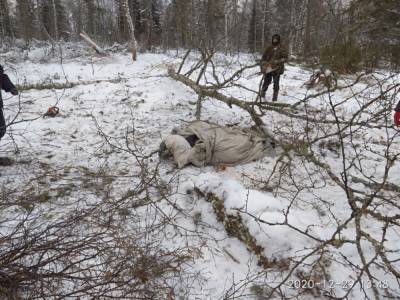 В Башкирии на мужчину упало дерево