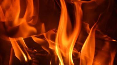 Ночью из горящего дома в Воронежской области эвакуировали трёх человек