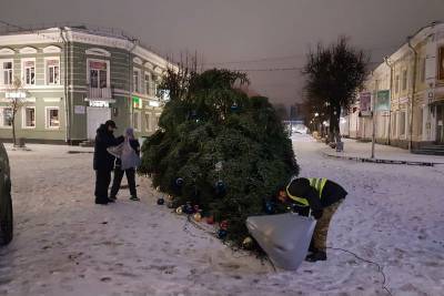Сильный ветер повалил новогоднюю елку в Гатчине в Ленобласти