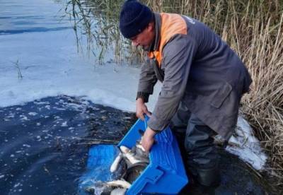 В Украине усиливают борьбу против рыбного браконьерства