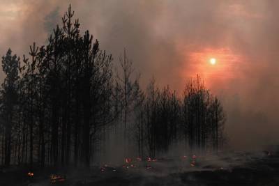 Крупный лесной пожар пытаются потушить в районе водопадов в Сочи