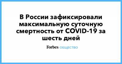 В России зафиксировали максимальную суточную смертность от COVID-19 за шесть дней