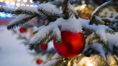 Дед Мороз и ёлка: тест RT об истории празднования Нового года в России