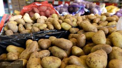 «Картофельный кризис» на Украине вынудит Киев искать спасение в Европе