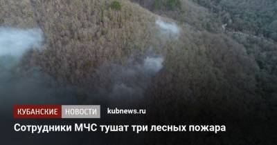 Сотрудники МЧС тушат три лесных пожара