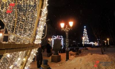В Самарской области Новый год встретят с морозцем и без снега