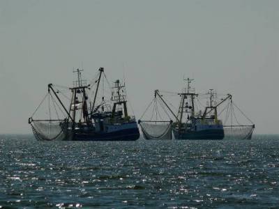 Дальневосточный полпред попросил китайцев снять ограничения на экспорт рыбы