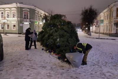 Ледяной дождь повалил новогоднюю елку в Гатчине