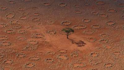 Ведьмины кольца: как появляются круги в пустыне Намиб (6 фото)
