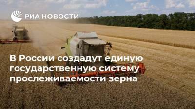 В России создадут единую государственную систему прослеживаемости зерна