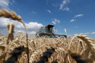 Украина сократила экспорт зерновых на 14,7% в 1 пол 20/21 сельхозгода