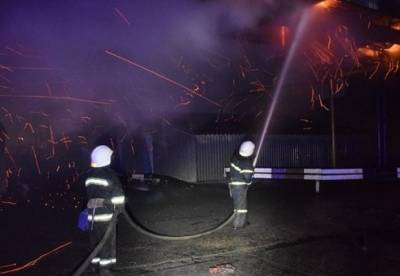 В Николаеве произошел масштабный пожар на зерновом терминале (фото)