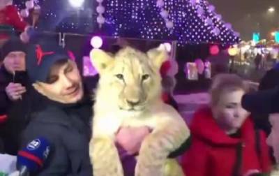 В Харькове на ярмарке выгуливали домашнего львенка