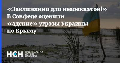 «Заклинания для неадекватов!» В Совфеде оценили «адские» угрозы Украины по Крыму