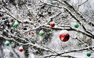 Синоптики рассказали, с какой погодой жители Луганщины встретят Новый год