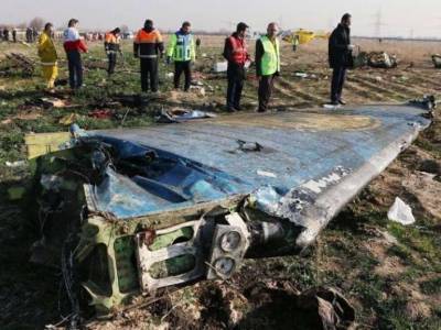 Кабмин Ирана определил сумму компенсаций для семей жертв катастрофы самолета МАУ