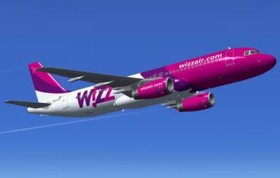 Wizz Air может запустить авиарейсы из Винницы