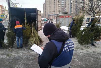 Петербургские чиновники ликвидировали 36 незаконных елочных базаров