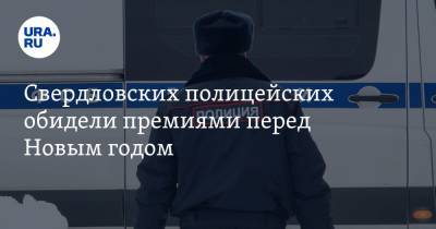 Свердловских полицейских обидели премиями перед Новым годом. «У начальства в 30 раз больше»