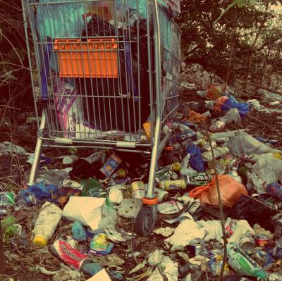 В новогодние праздники воронежцы могут пожаловаться на мусор во дворах