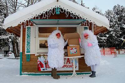 Сыктывкарские дети написали 250 писем Деду Морозу