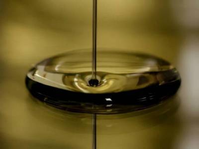 Аналитик: Нефть ощутимо упала за год, но нащупала «золотую середину»