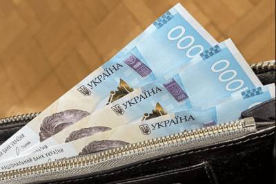 В "Слуге народа" заявили, что выделили ФОПам только по 8 тыс. грн, потому что их достаточно