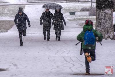 Более 11 тысяч человек пострадало с начала декабря в Беларуси из-за гололеда и холода