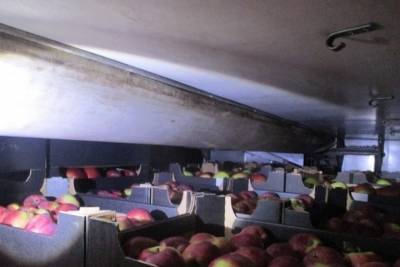 Около 20 тонн яблок не пропустили через границу в Псковской области