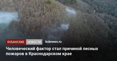 Человеческий фактор стал причиной лесных пожаров в Краснодарском крае