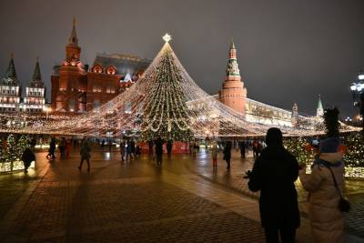 Москвичей просят не посещать многолюдные места в новогодние праздники