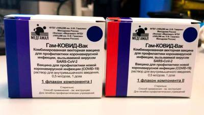 Россия и Боливия заключили контракт на поставку вакцины «Спутник V»