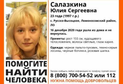 В Ленобласти две недели ищут 23-летнюю жительницу Русско-Высоцкого