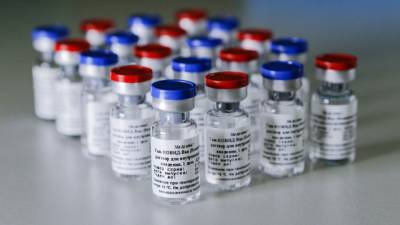 Гинцбург сообщил, когда начнут испытание вакцины "Спутник V" на детях