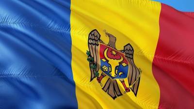 Бывшего посла Молдавии в РФ Негуцу поместили под домашний арест