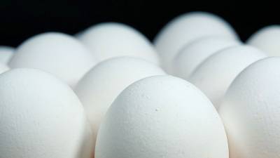 Куриные яйца за неделю подорожали в России на 2,3%