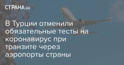 В Турции отменили обязательные тесты на коронавирус при транзите через аэропорты страны