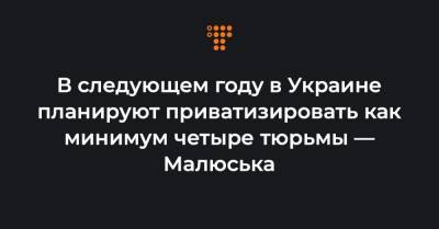 В следующем году в Украине планируют приватизировать как минимум четыре тюрьмы — Малюська