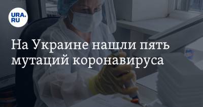 На Украине нашли пять мутаций коронавируса