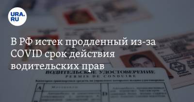 В РФ истек продленный из-за COVID срок действия водительских прав