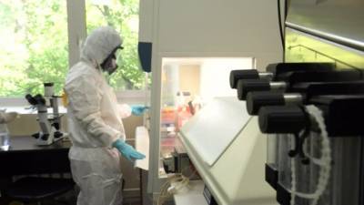 Клеточный иммунитет: в России появится еще одна вакцина от коронавируса