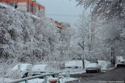 Синоптики предупреждают о похолодании в новогодние праздники в Томской области