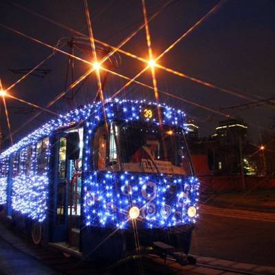 Московский транспорт в новогоднюю ночь будет работать в особом режиме
