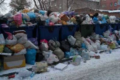Мусор с контейнерных площадок не вывозят в Новосибирске