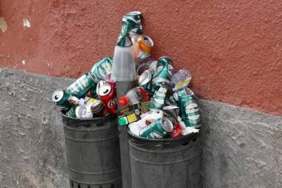 Куда жаловаться на переполненные мусорные баки в Челябинске во время новогодних каникул