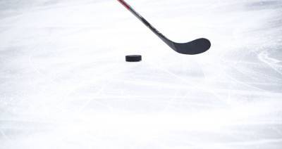 Сборная РФ по хоккею обыграла шведов в матче МЧМ в Эдмонтоне