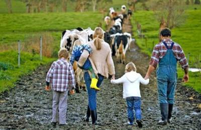 Названы главные проблемы и преимущества семейных молочных ферм